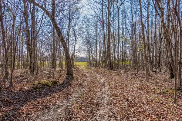 $2,900,000 | 1051 Smith Avenue, Hohenwald, TN 38462