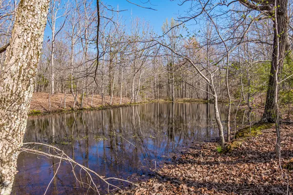 $2,900,000 | 1051 Smith Avenue, Hohenwald, TN 38462