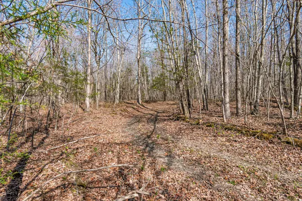 $2,900,000 | 1051 Smith Avenue, Hohenwald, TN 38462