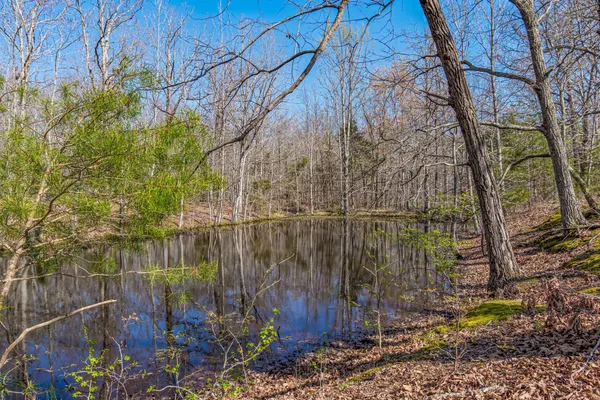 $2,900,000 | 1051 Smith Avenue, Hohenwald, TN 38462