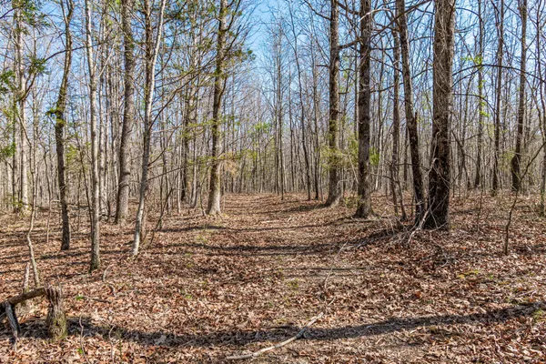 $2,900,000 | 1051 Smith Avenue, Hohenwald, TN 38462