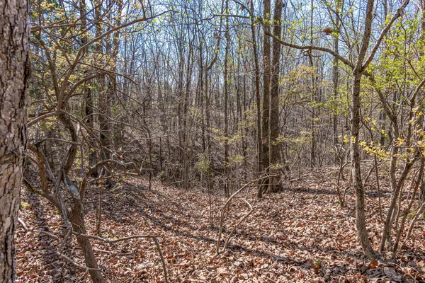 $2,900,000 | 1051 Smith Avenue, Hohenwald, TN 38462