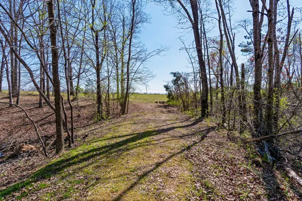 $2,900,000 | 1051 Smith Avenue, Hohenwald, TN 38462