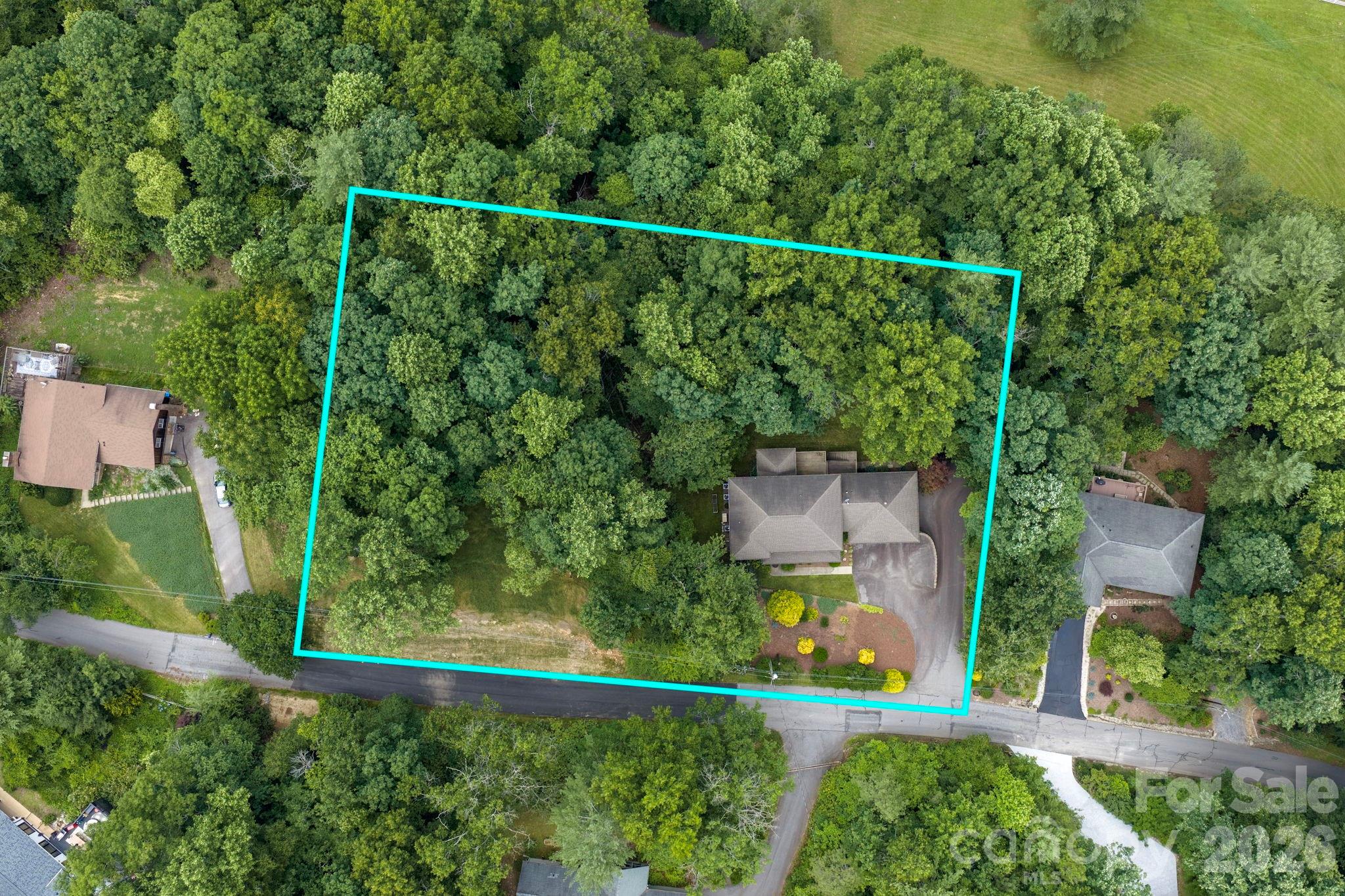 25 Whitaker View Road Fairview, NC 28730 - Photo 2 of 40