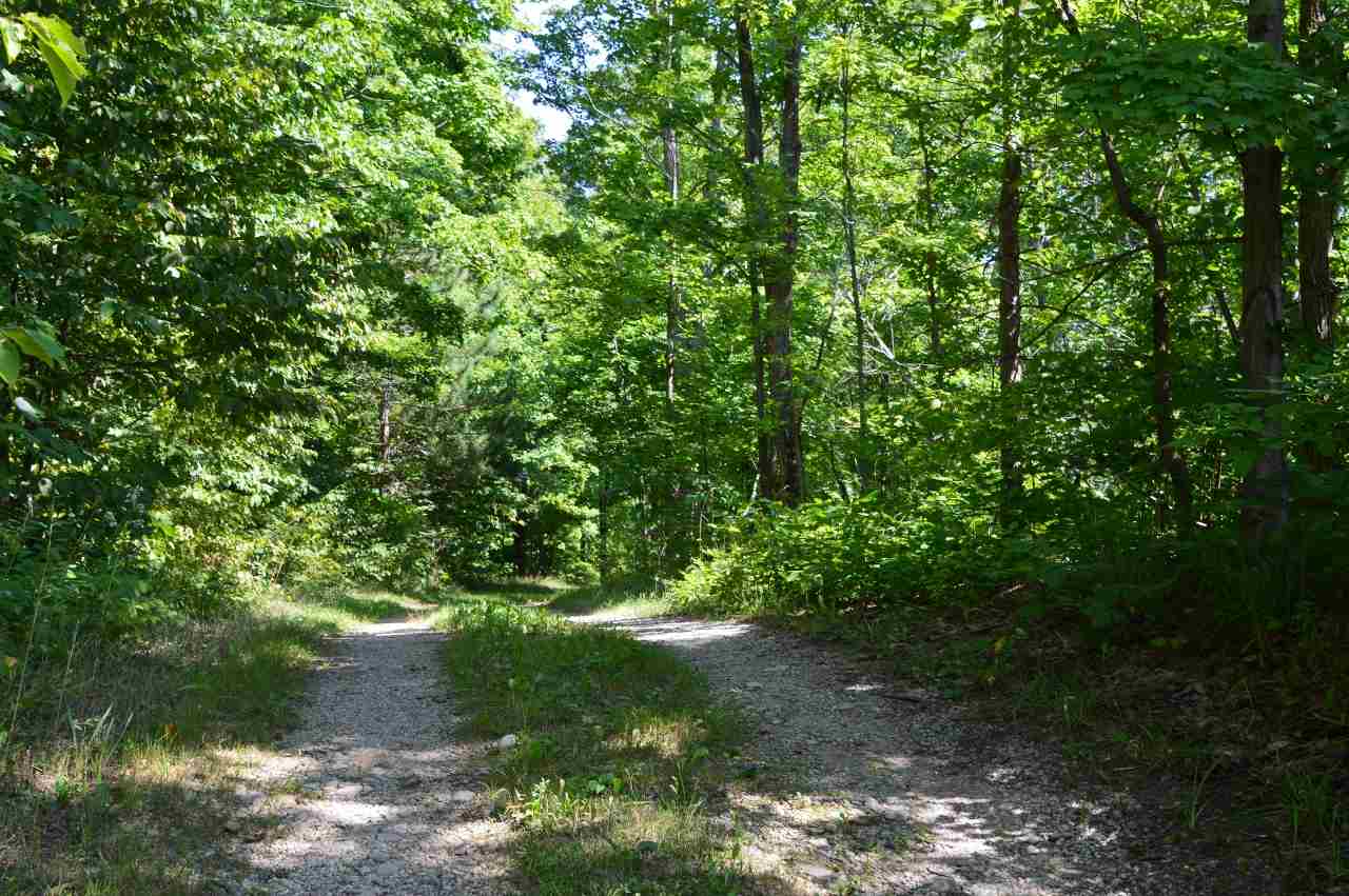 311 South Zimmerman Road Beulah, MI 49617 - Photo 29 of 30 1837839-28.JPG