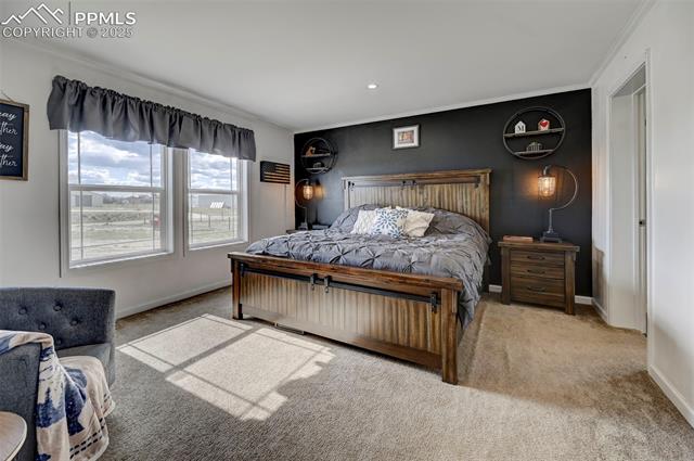 961 Buffalo Run Road Calhan, CO 80808 - Photo 44 of 45 Carpeted bedroom with ornamental molding