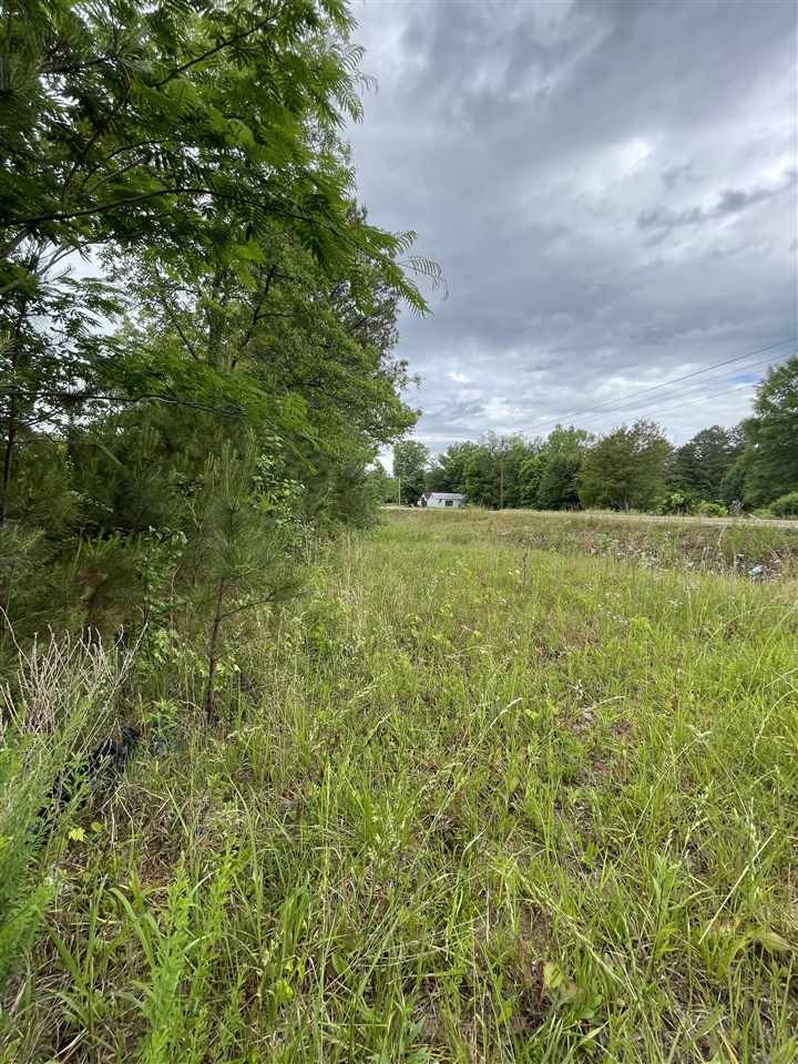 0 Hwy 57 Ramer Tn 38367 Ramer, TN 38367 - Photo 3 of 3 a view of a field with an ocean and trees in the background