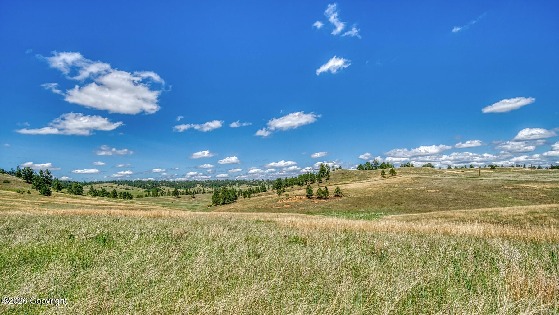 11 Morning Glory Road Hulett, WY 82720 - Photo 40 of 53 Gallery Image 40