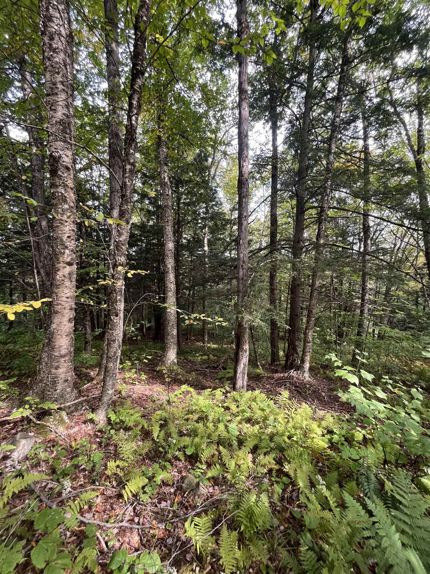 0 Whitmore Brook Road Chester, VT 05143 - Photo 6 of 6