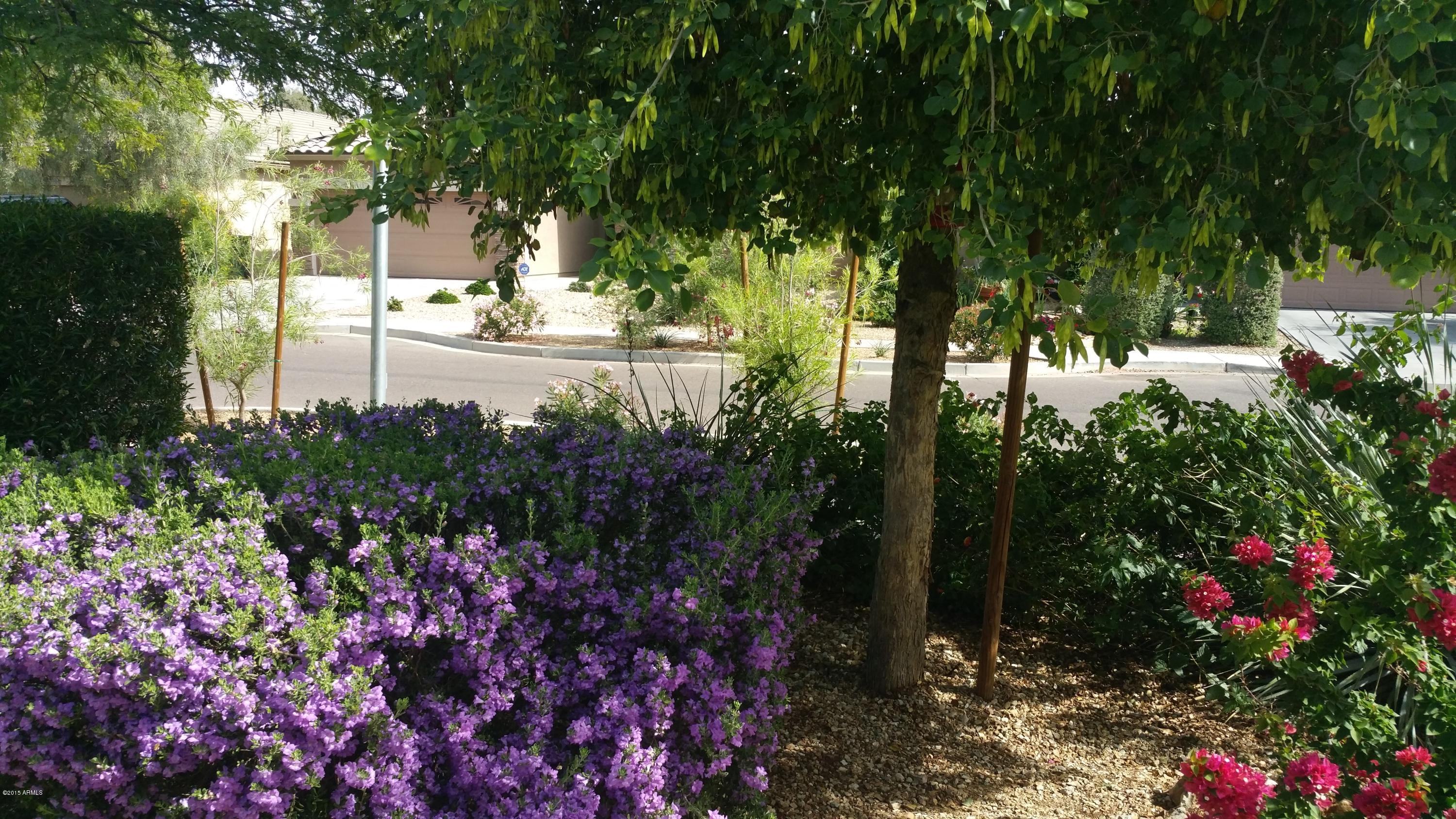 10149 West Chipman Road Tolleson, AZ 85353 - Photo 5 of 41 E