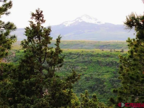 $359,000 | Tbd Peninsula Drive, Placerville, CO 81430