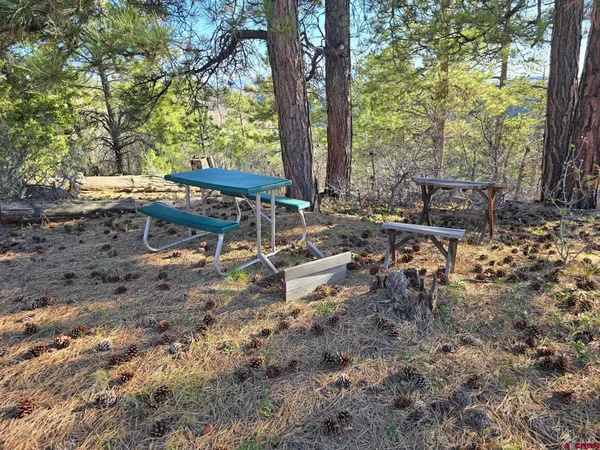 $359,000 | Tbd Peninsula Drive, Placerville, CO 81430