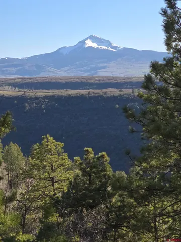 $359,000 | Tbd Peninsula Drive, Placerville, CO 81430