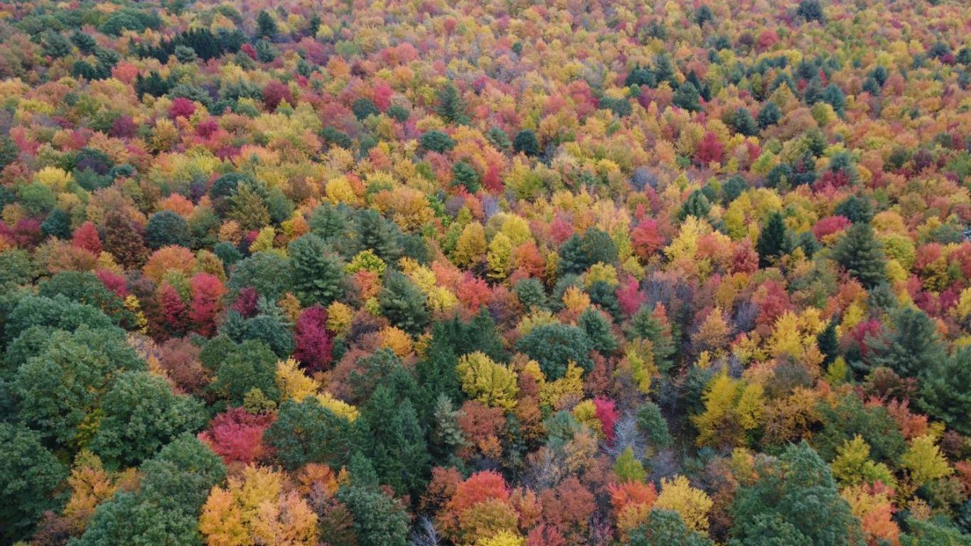 866 Teed Hill Road Sidney Center, NY 13839 - Photo 38 of 65