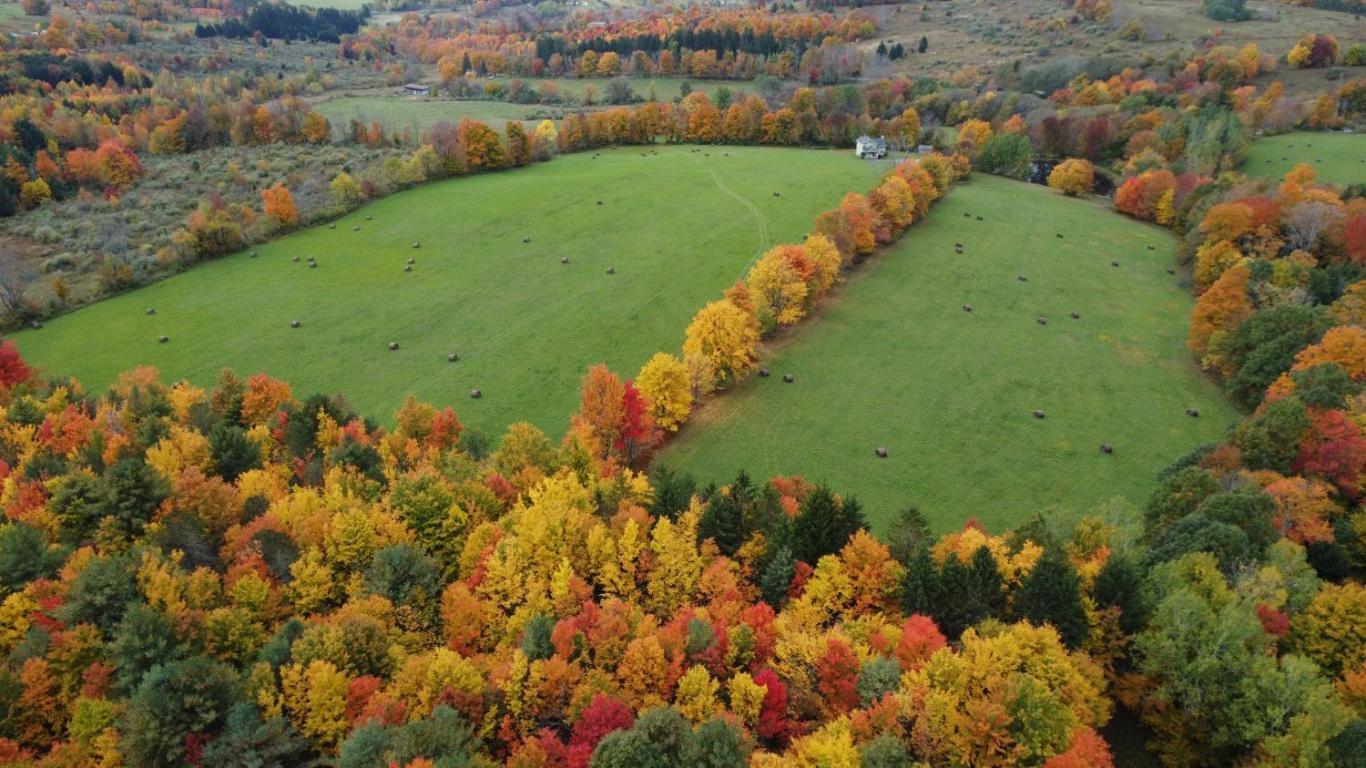 866 Teed Hill Road Sidney Center, NY 13839 - Photo 39 of 65