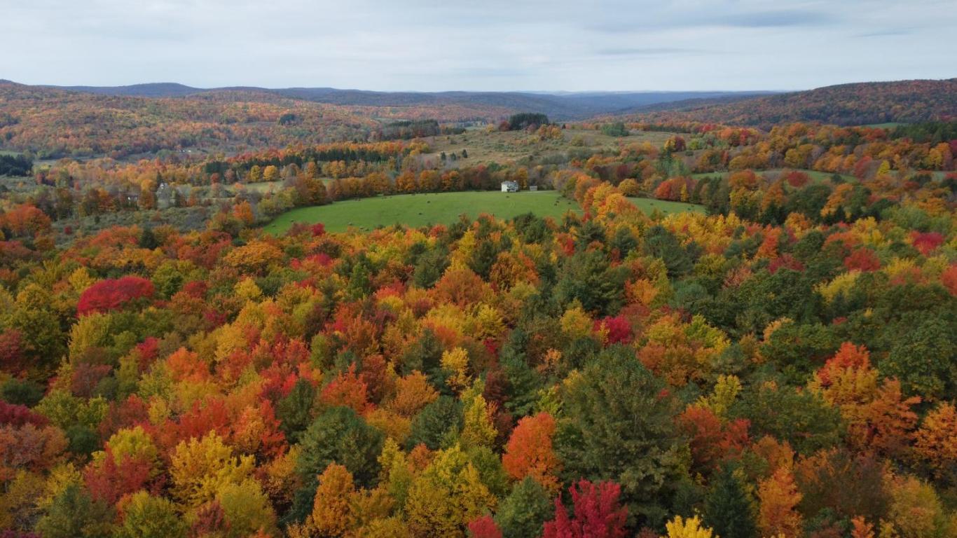 866 Teed Hill Road Sidney Center, NY 13839 - Photo 40 of 65