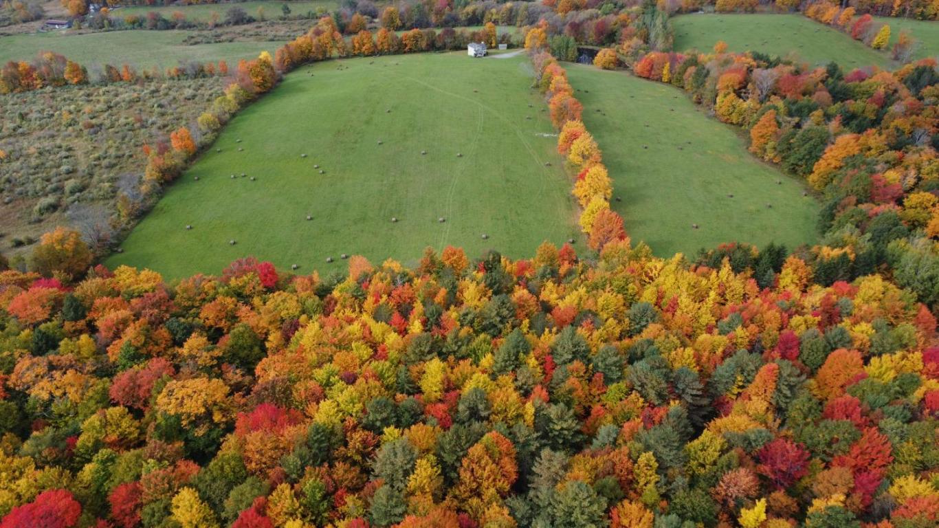 866 Teed Hill Road Sidney Center, NY 13839 - Photo 41 of 65