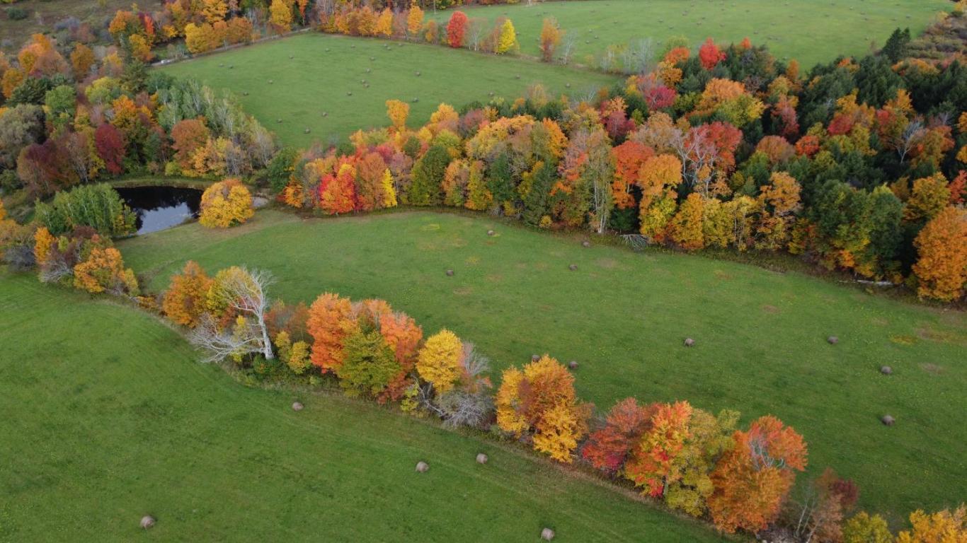 866 Teed Hill Road Sidney Center, NY 13839 - Photo 44 of 65