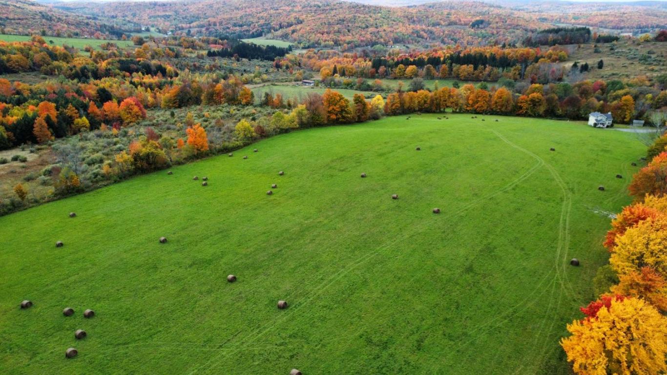 866 Teed Hill Road Sidney Center, NY 13839 - Photo 49 of 65