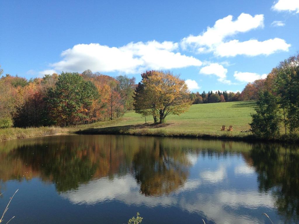 866 Teed Hill Road Sidney Center, NY 13839 - Photo 5 of 65