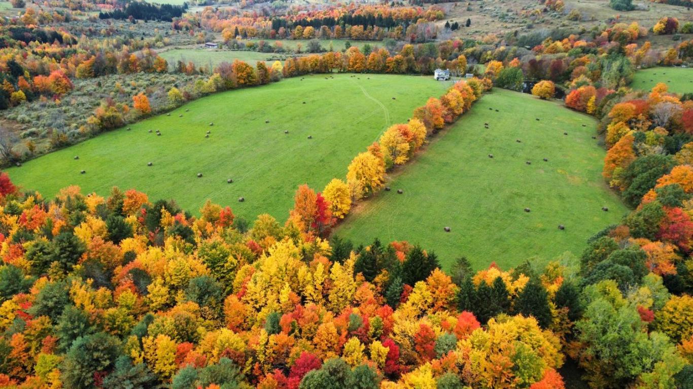 866 Teed Hill Road Sidney Center, NY 13839 - Photo 51 of 65