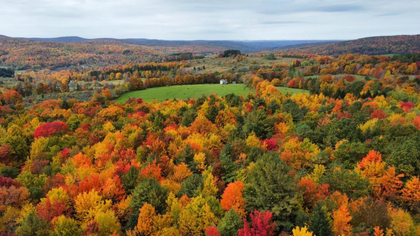 866 Teed Hill Road Sidney Center, NY 13839 - Photo 52 of 65