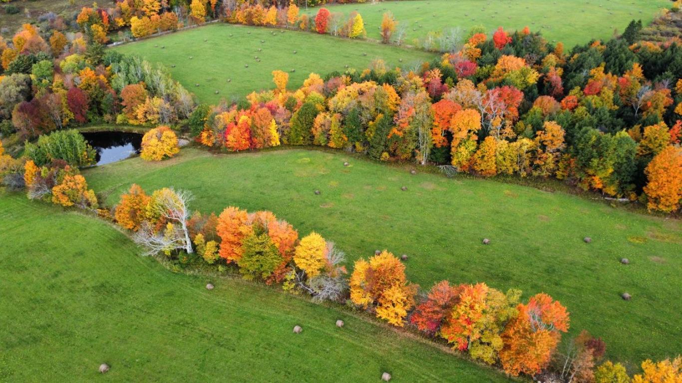 866 Teed Hill Road Sidney Center, NY 13839 - Photo 54 of 65