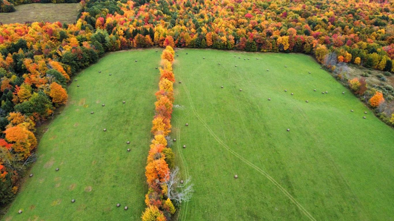 866 Teed Hill Road Sidney Center, NY 13839 - Photo 59 of 65