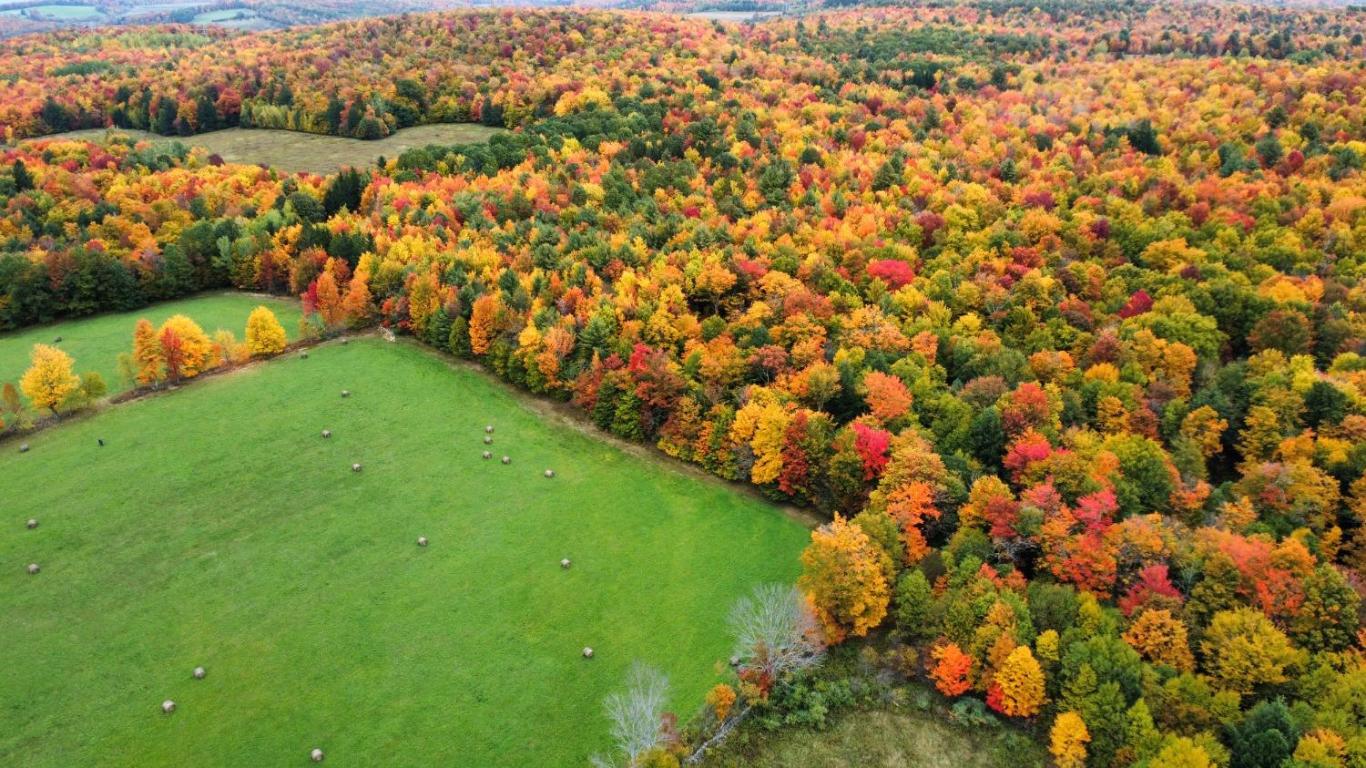 866 Teed Hill Road Sidney Center, NY 13839 - Photo 60 of 65