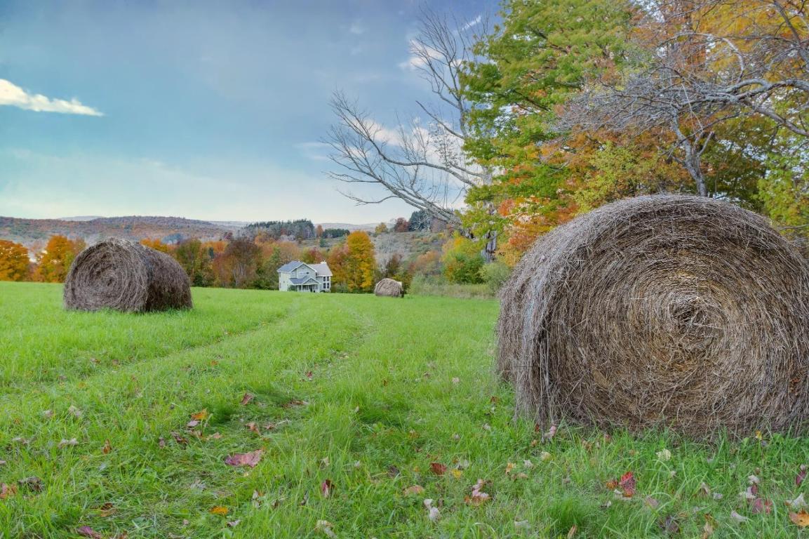 866 Teed Hill Road Sidney Center, NY 13839 - Photo 7 of 65