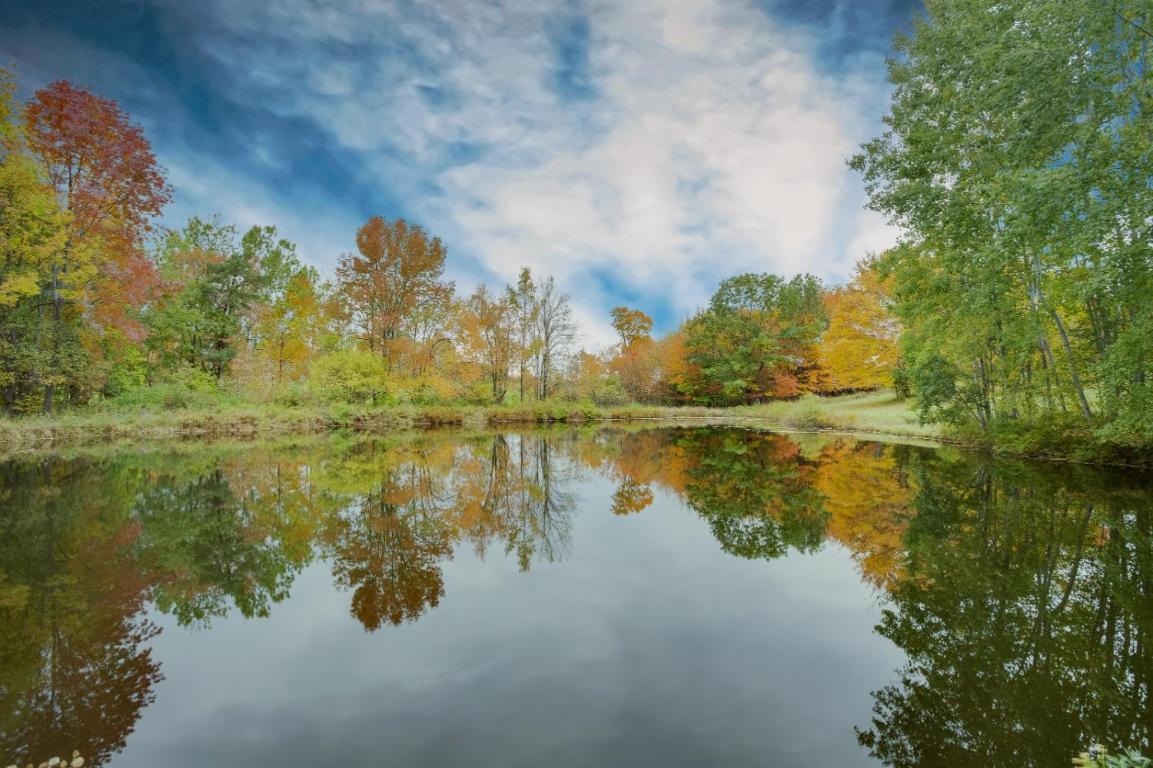 866 Teed Hill Road Sidney Center, NY 13839 - Photo 8 of 65