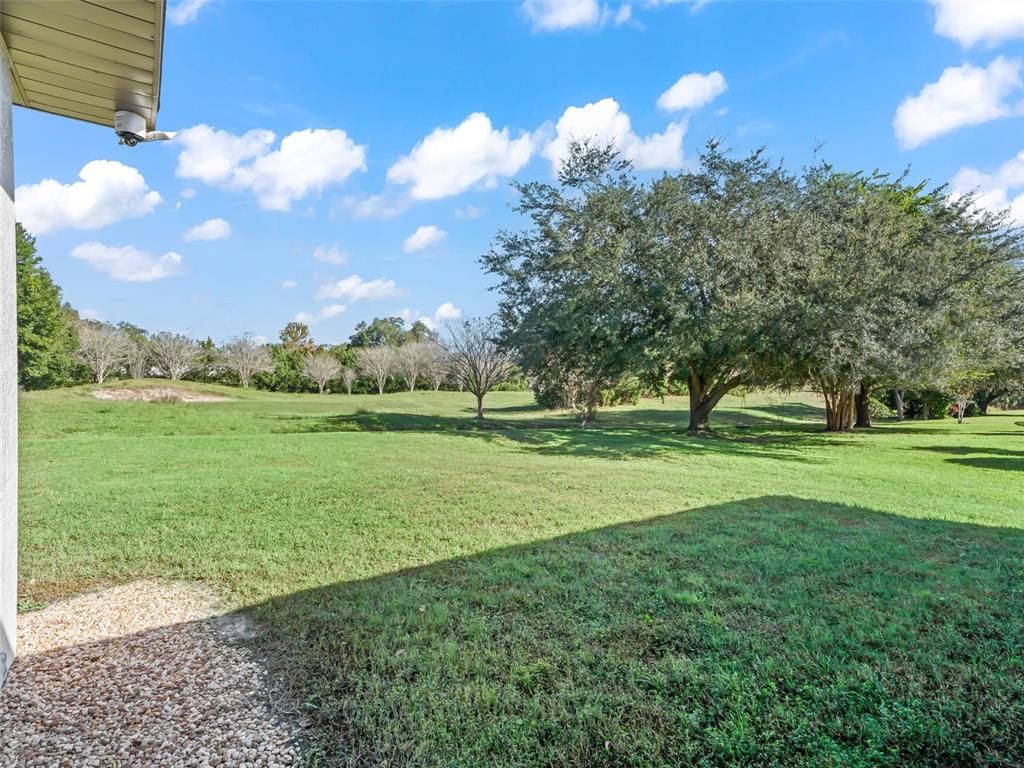 562 Dowling Circle Lady Lake, FL 32159 - Photo 51 of 62 a view of a park with large trees