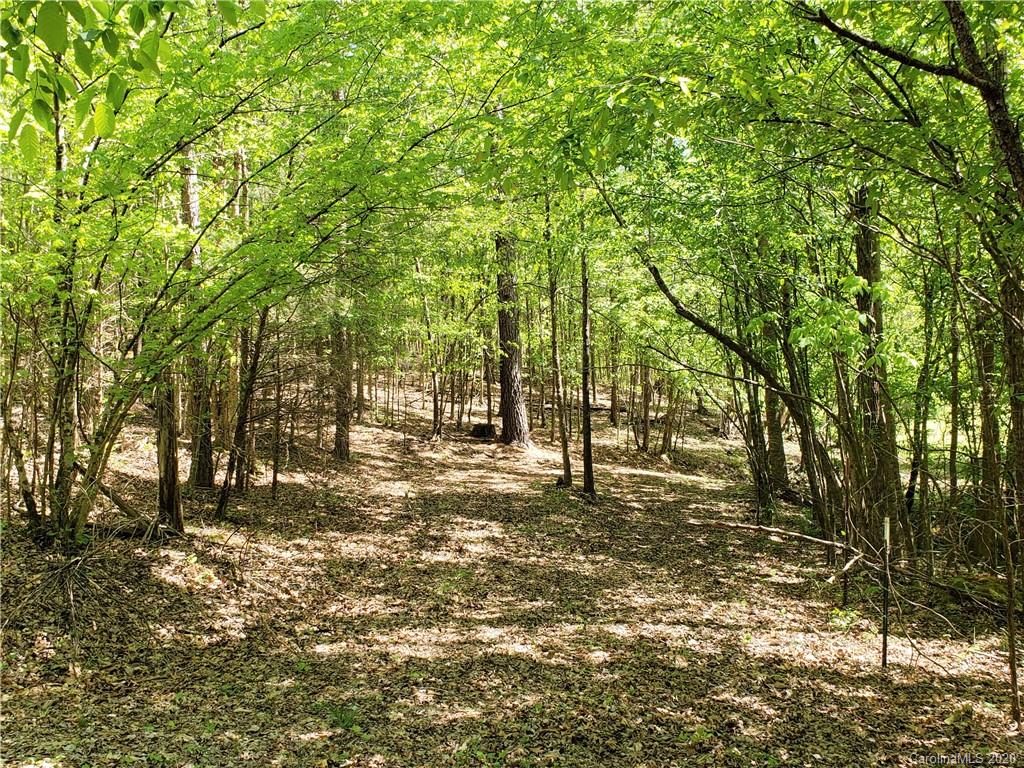0 Honeycutt Road Lancaster, SC 29720 - Photo 12 of 28