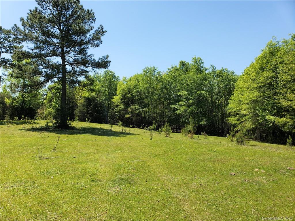 0 Honeycutt Road Lancaster, SC 29720 - Photo 3 of 28