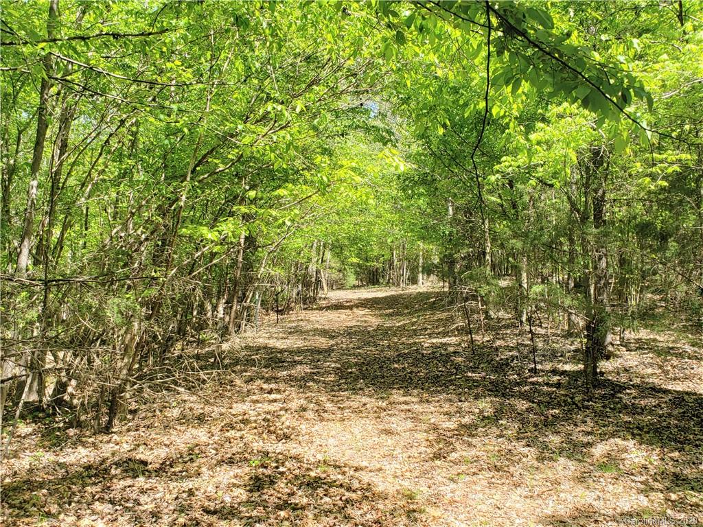 0 Honeycutt Road Lancaster, SC 29720 - Photo 25 of 28