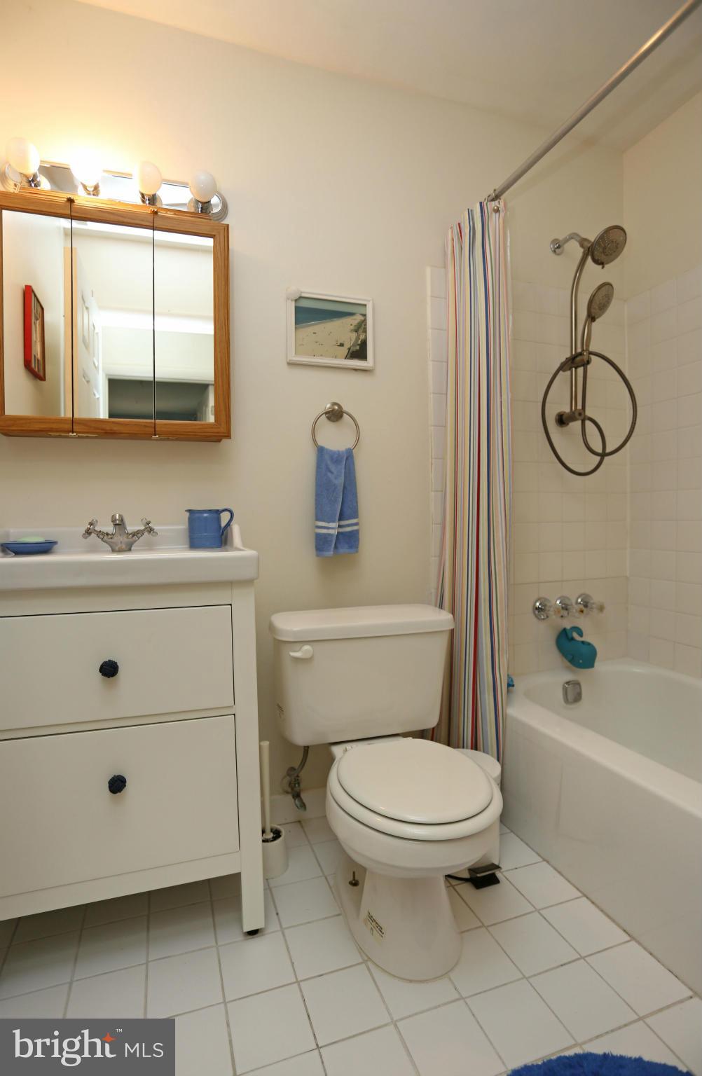 1035 Cedar Ridge Court Annapolis, MD 21403 - Photo 16 of 20 Bath