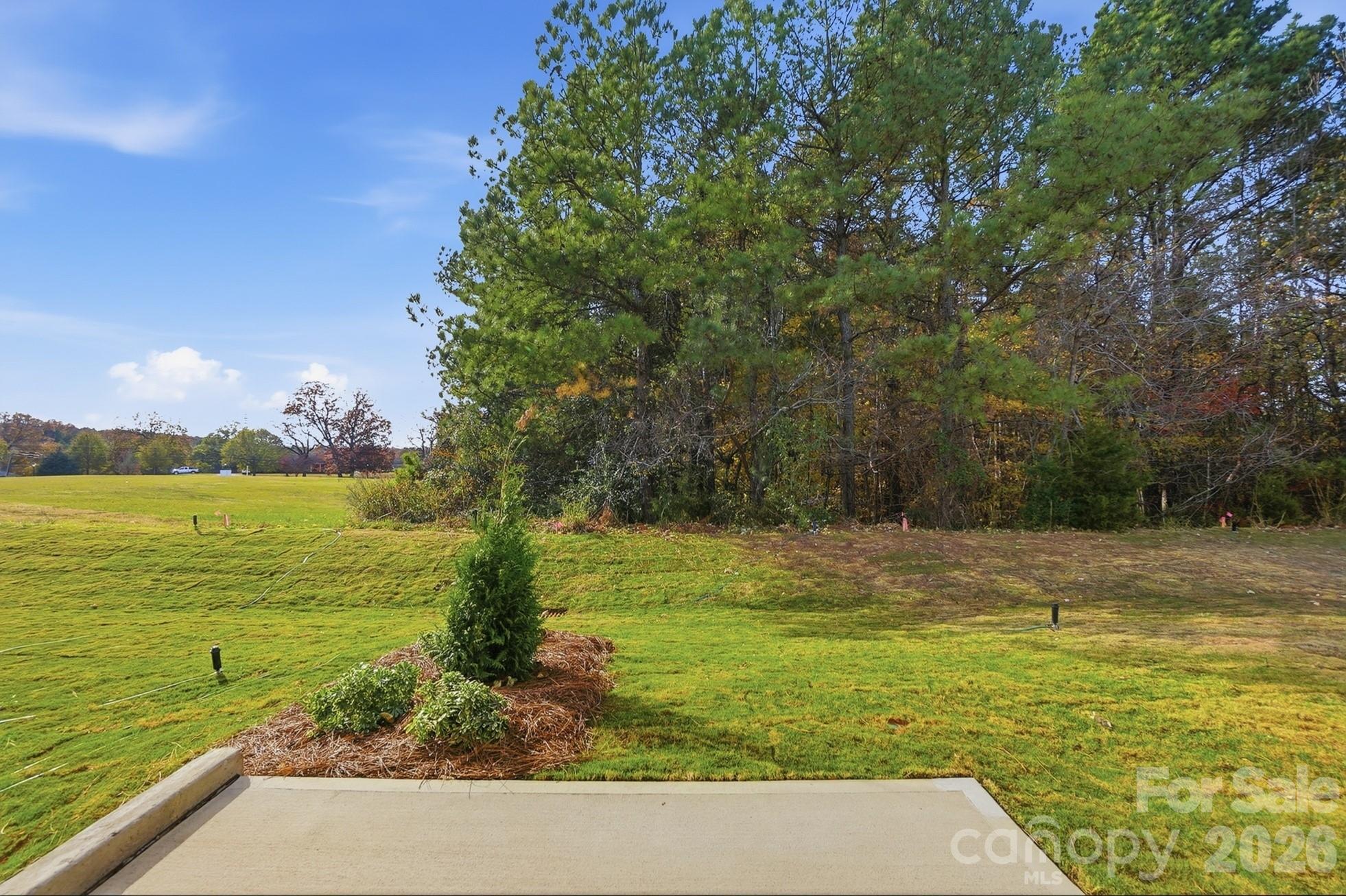 111 Viburnum Road Waxhaw, NC 28173 - Photo 36 of 39