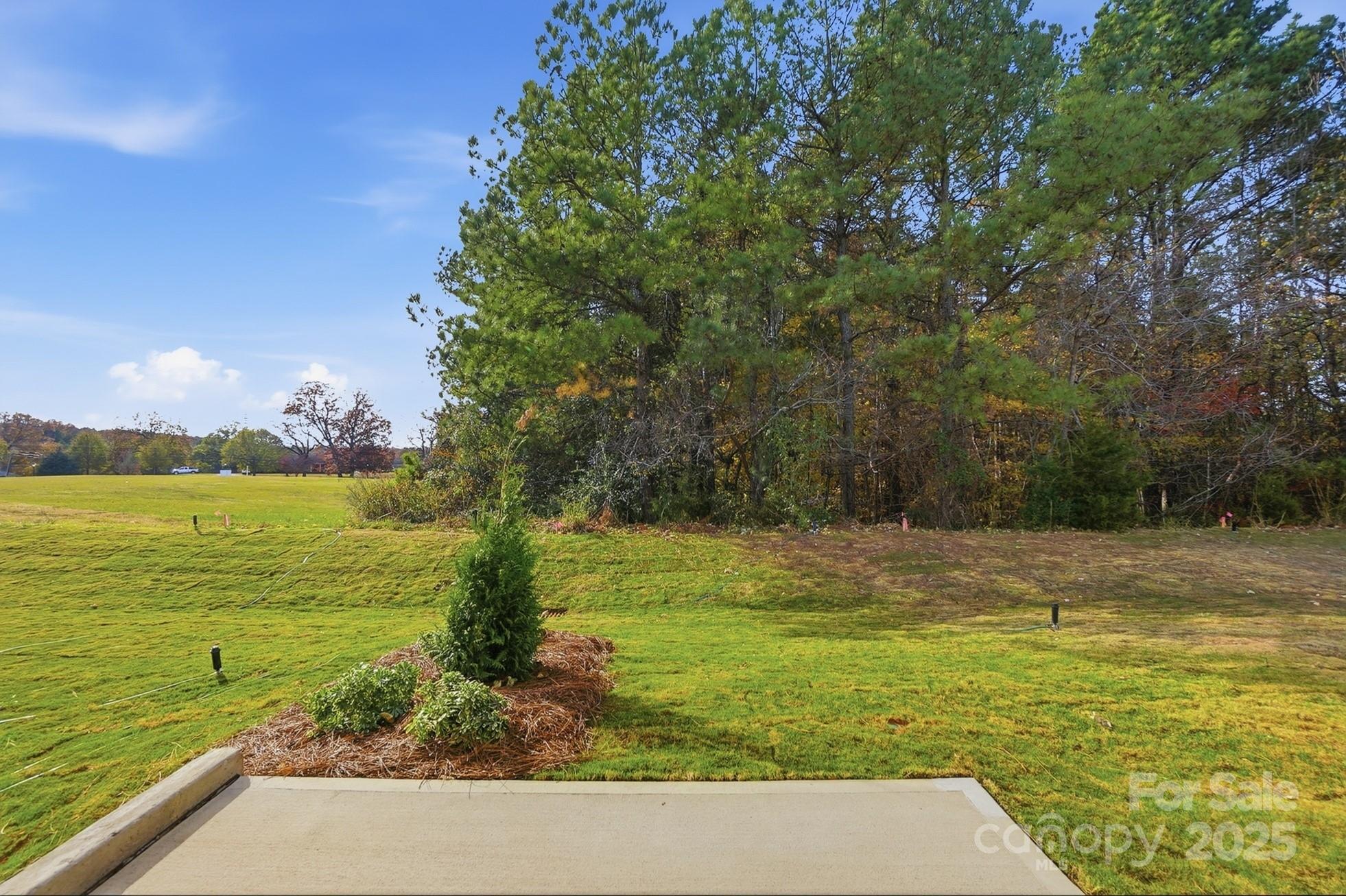 111 Viburnum Road Waxhaw, NC 28173 - Photo 36 of 39 a view of a ocean view