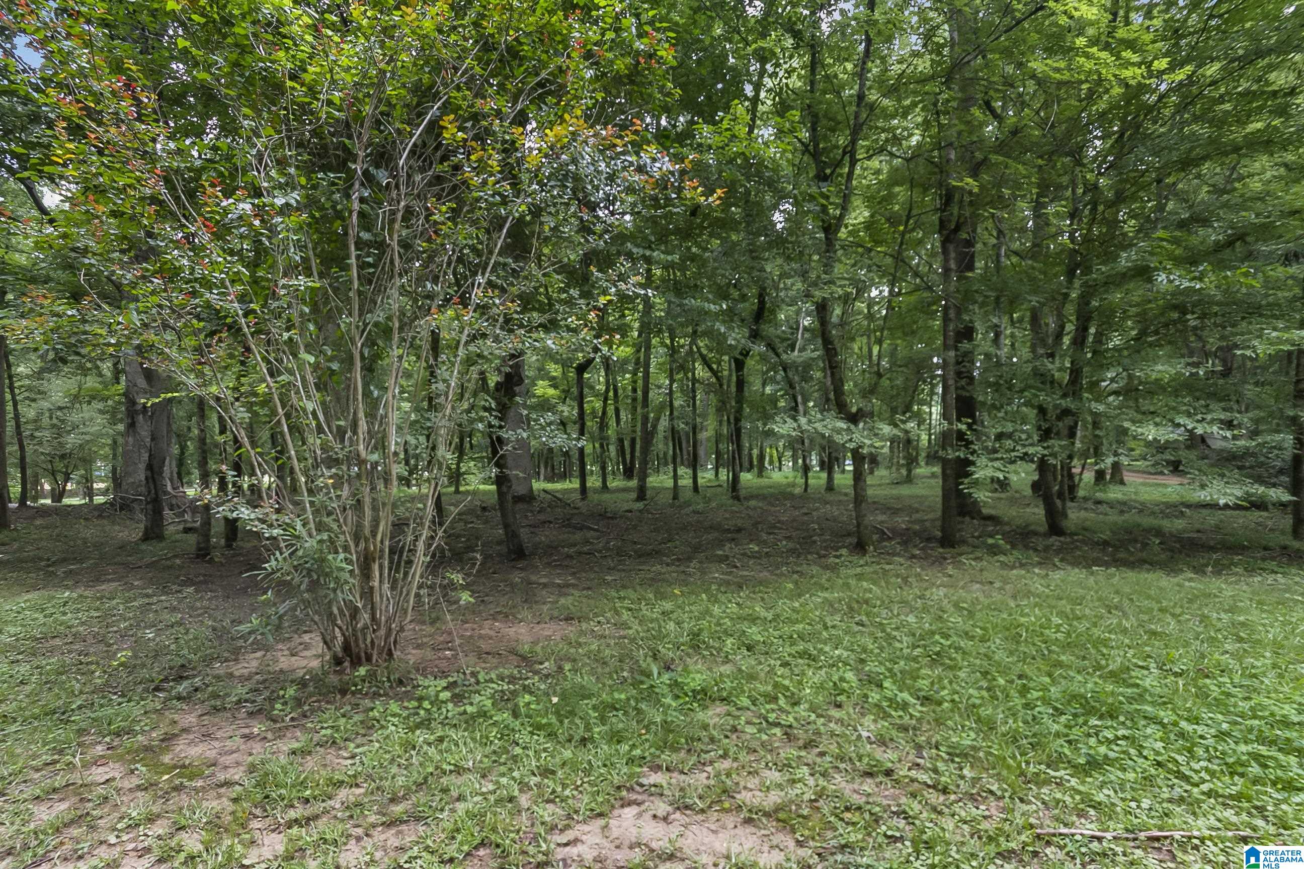 13615 Riverbend Road Moundville, AL 35474 - Photo 3 of 33