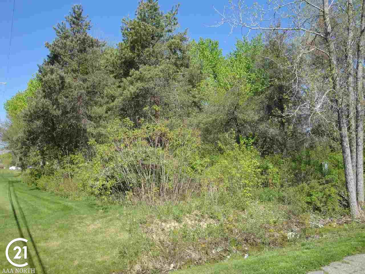 0 Bellman Utica, MI 48316 - Photo 3 of 6