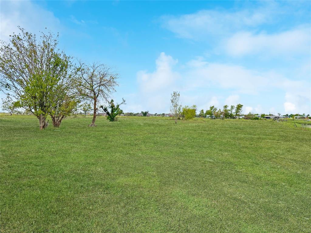 402 Sunflower Drive Valley View, TX 76272 - Photo 14 of 16 a grassy field with trees in the background