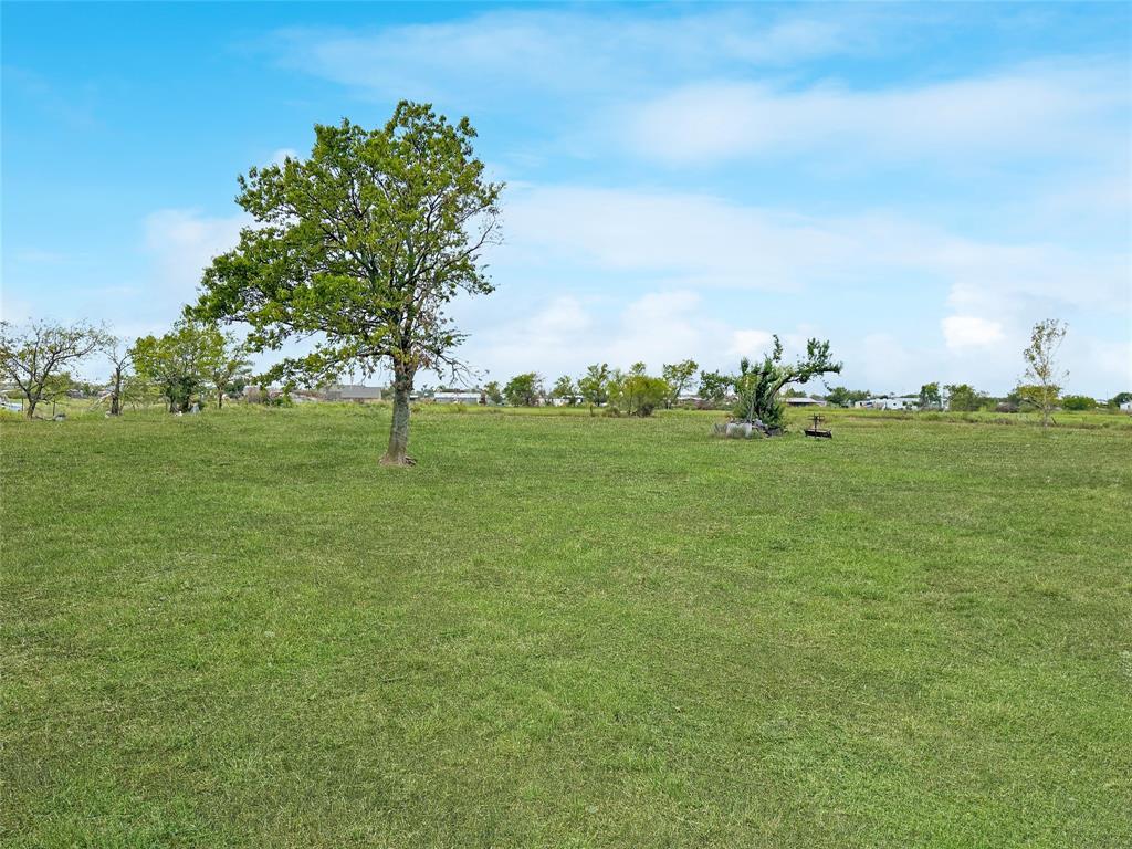 402 Sunflower Drive Valley View, TX 76272 - Photo 15 of 16 a grassy field with trees in the background