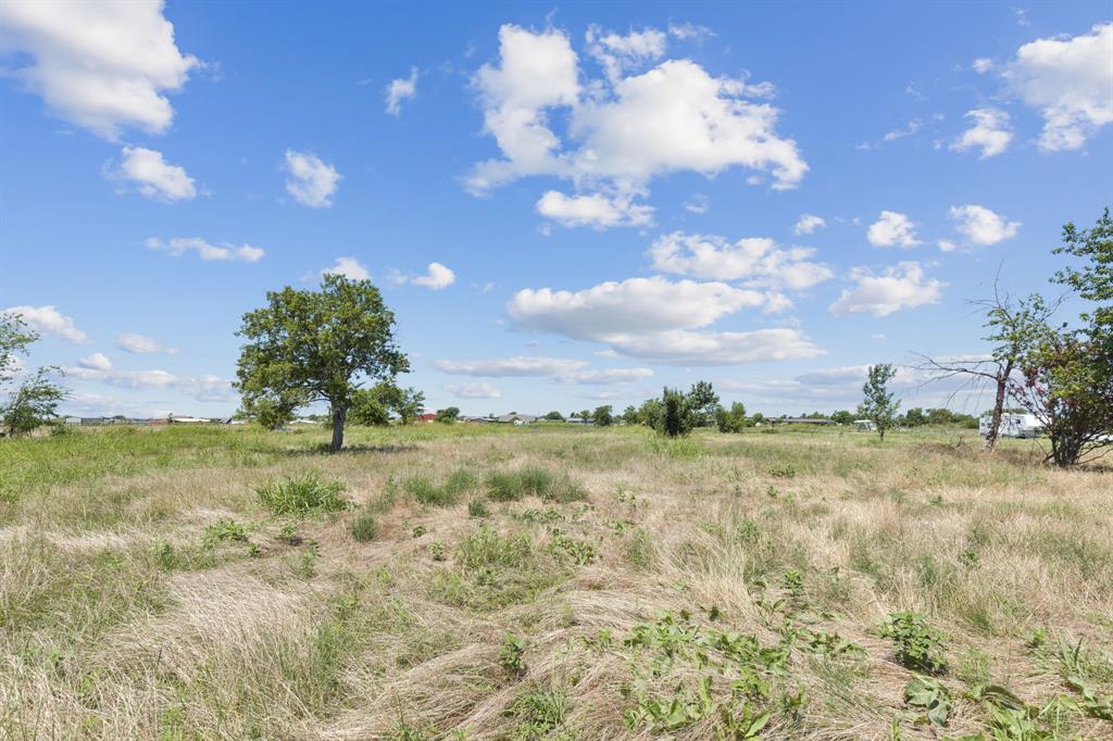 402 Sunflower Drive Valley View, TX 76272 - Photo 10 of 16 a view of a yard and mountain view