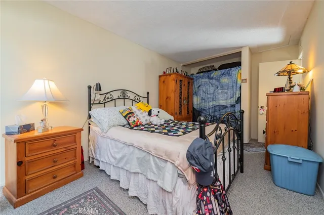 a bedroom with a bed and a closet