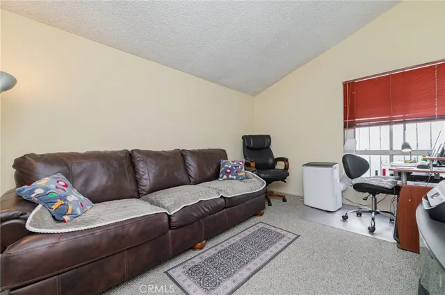a living room with furniture a rug and a window