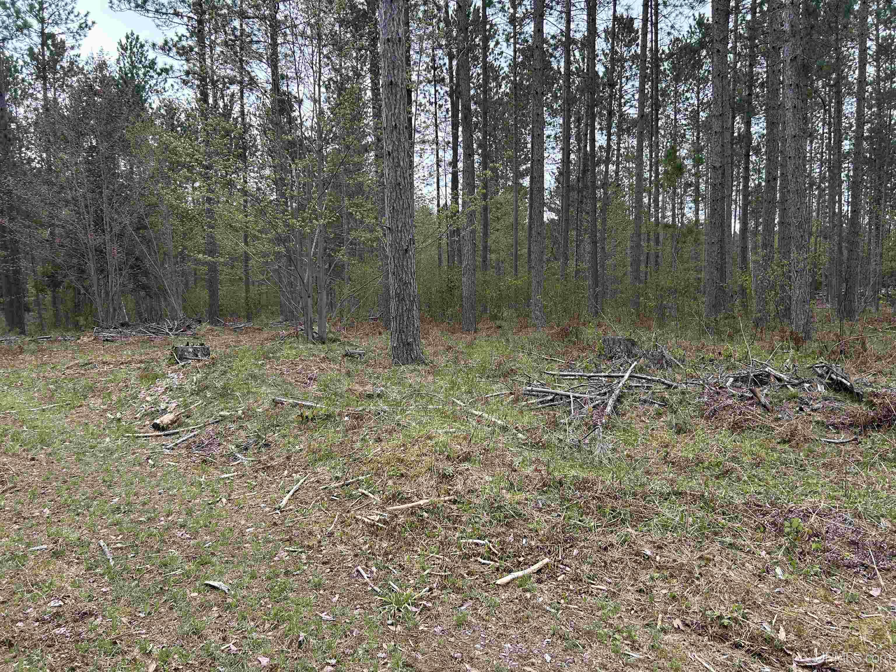 Tbd Parcel 1 Paint River Road Crystal Falls, MI 49920 - Photo 4 of 8