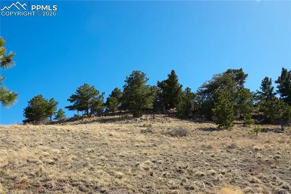 $160,000 | Lot 1 County Road 5, Canon City, CO 81212