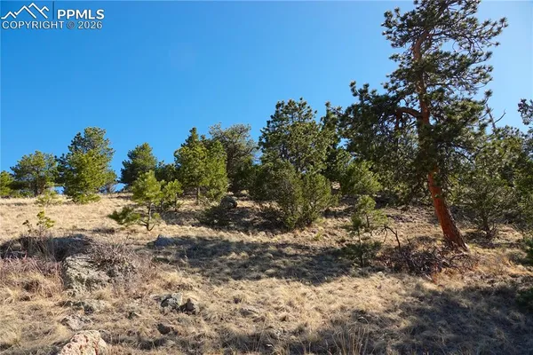 $160,000 | Lot 1 County Road 5, Canon City, CO 81212