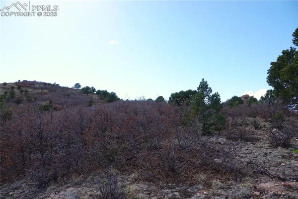 $160,000 | Lot 1 County Road 5, Canon City, CO 81212