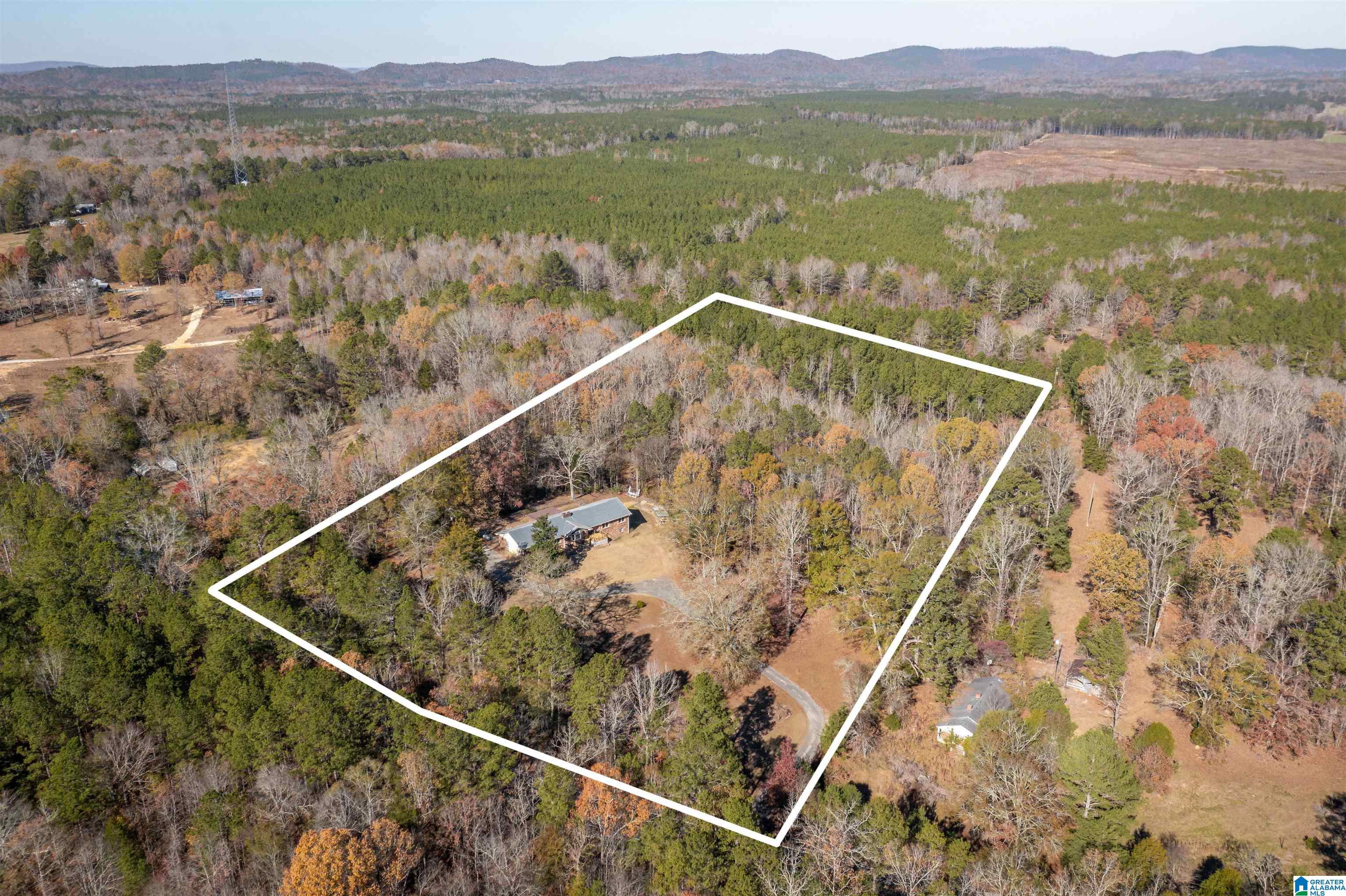 3571 Peeks Hill Road Ohatchee, AL 36271 - Photo 2 of 43